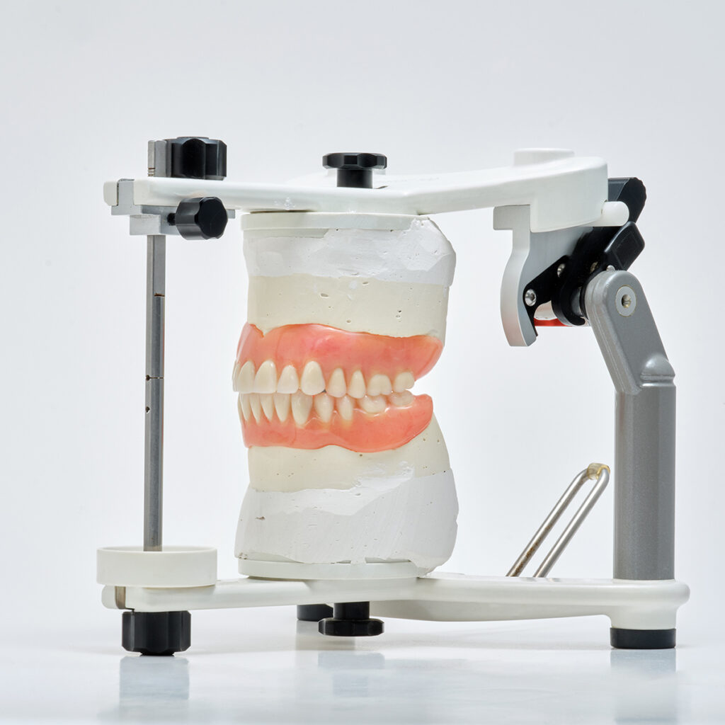 Close-up product shot of a complete upper and lower denture model.